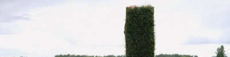 sod installation in Laredo, TX